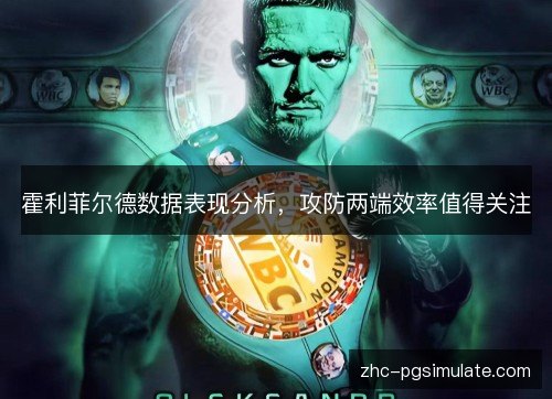 霍利菲尔德数据表现分析,攻防两端效率值得关注 霍利菲尔德数据表现分析,攻防两端效率值得关注